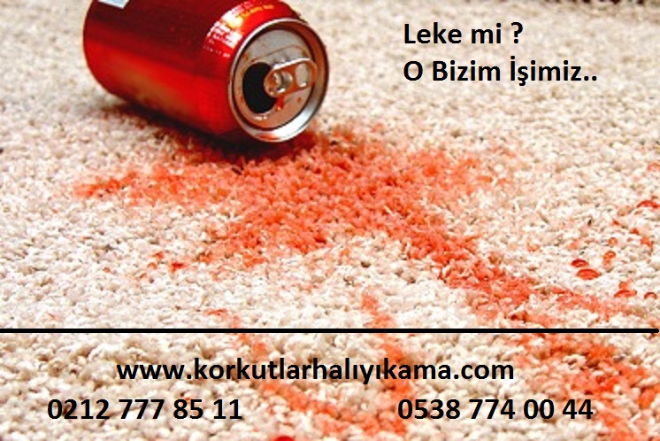 Ziya Gökalp Mahallesi Halı Yıkama