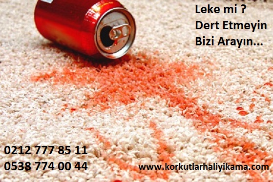 menekşe evleri halı yıkama